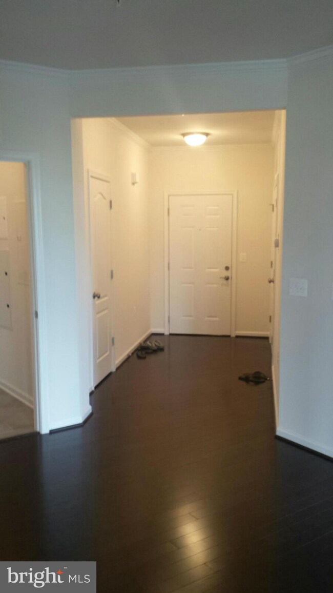 41900 Metamorphic Square unit F200, Aldie, VA 20105 - photo 4