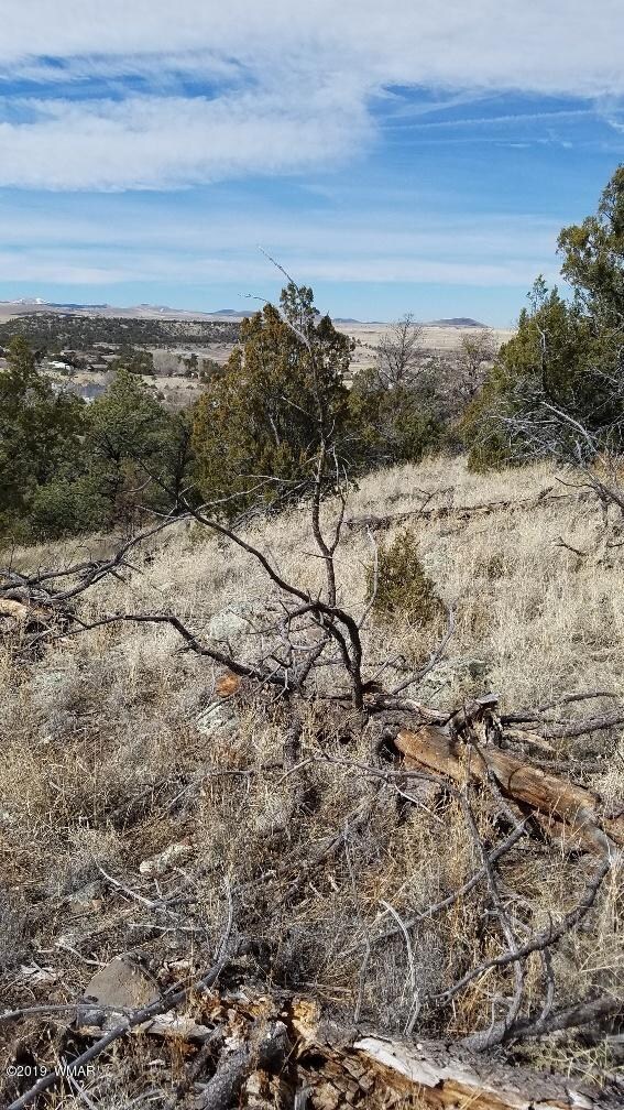 20190210_132249_resized