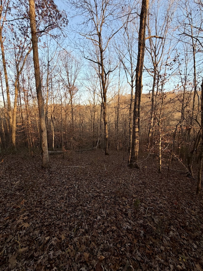 1 Amber Dr, Ashland City, TN 37015 - photo 6