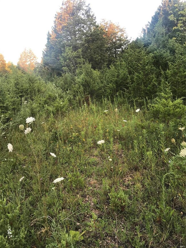 415 Cedar View Dr, Lonedell, MO 63060 - photo 3