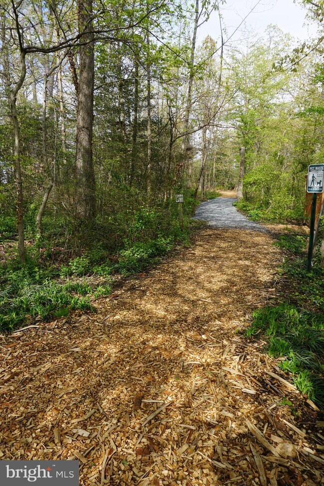 307 Pintail Ln, Annapolis, MD 21409 - photo 6