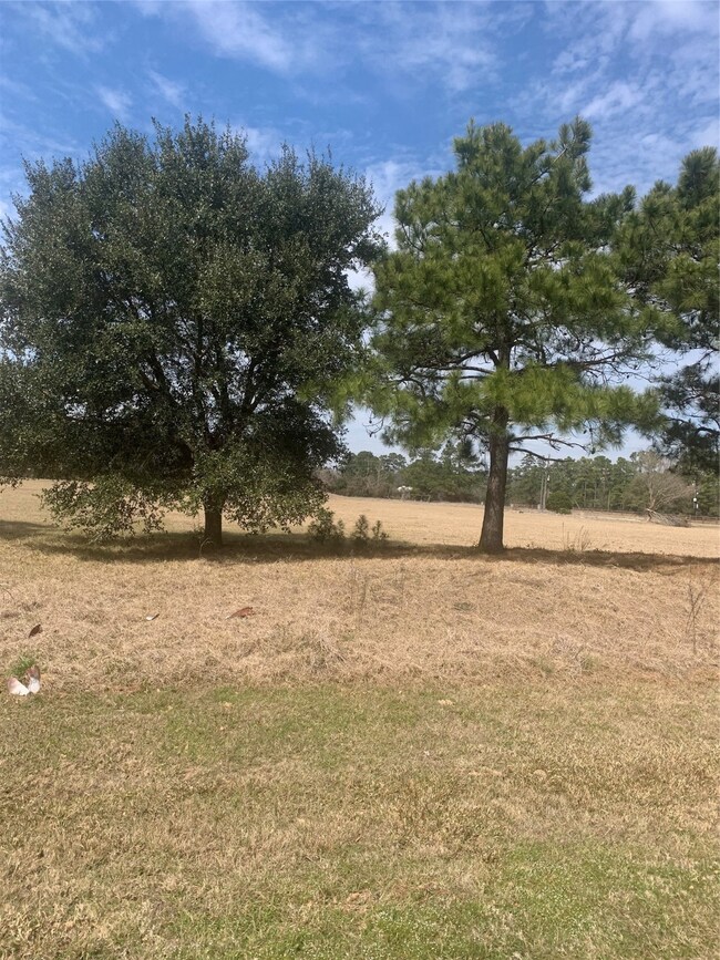330 Meadow Lake, Magnolia, TX 77355 - photo 2