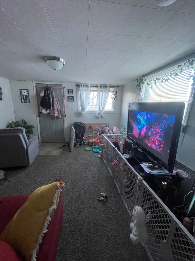 Rec room with carpet floors