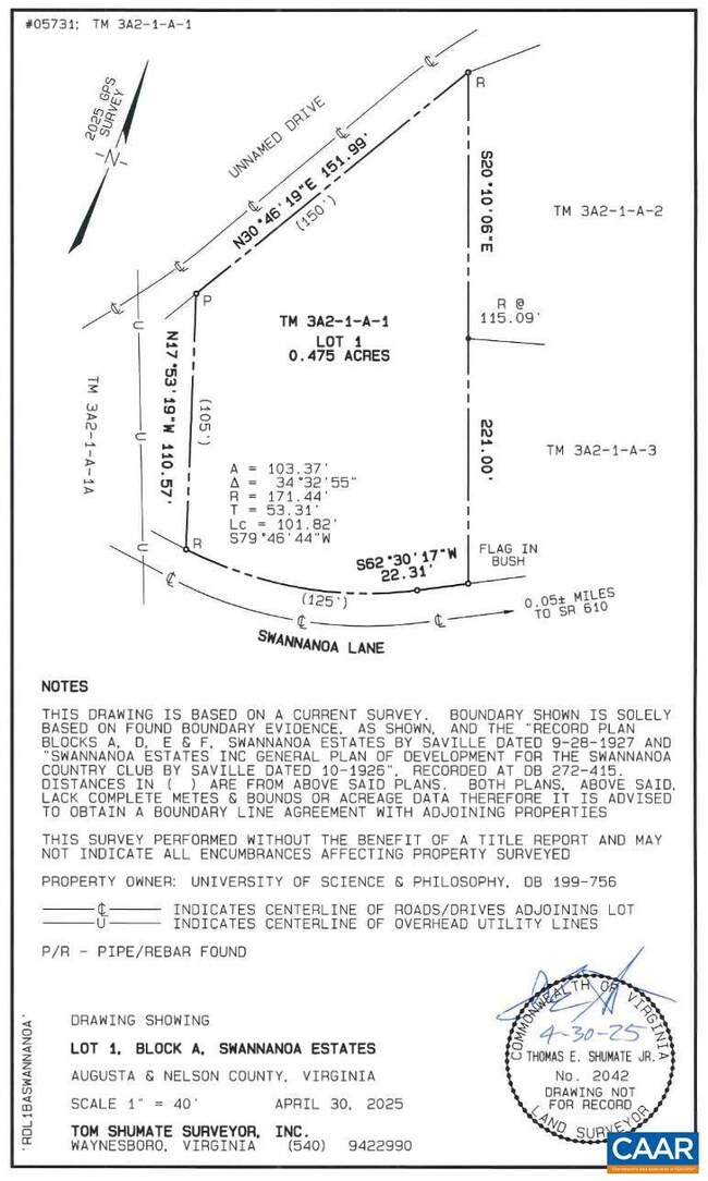 Block A Lot 1 Swannanoa Ln unit 1, Afton, VA 22920 - photo 5