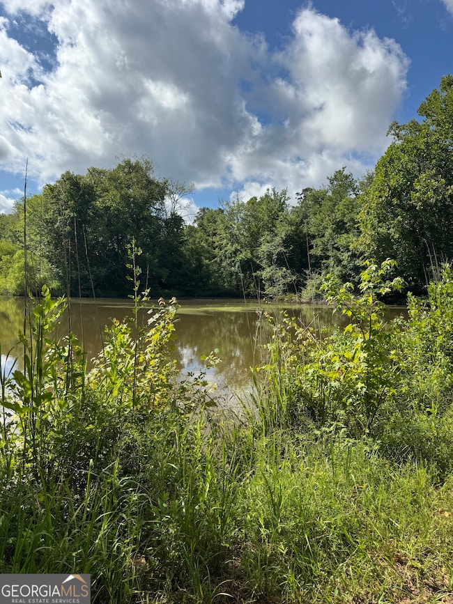 16653 Highway 36, Covington, GA 30014 - photo 2