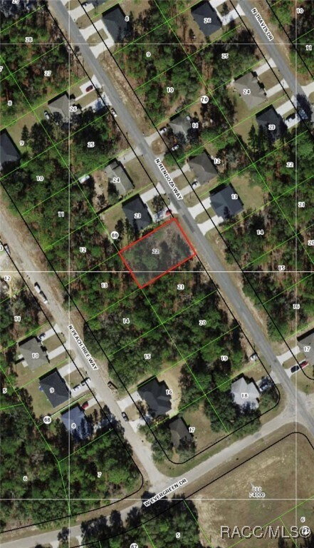 9156 N Mendoza Way, Citrus Springs, FL 34434 - photo 2