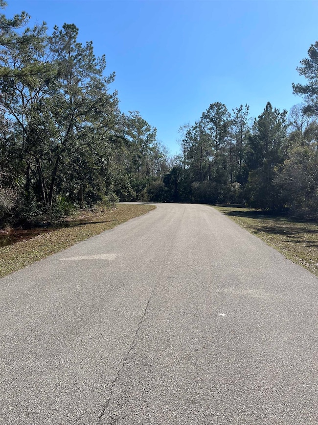 Lot 10 Burnt Pine Loop, Saint Marks, FL 32355 - photo 2