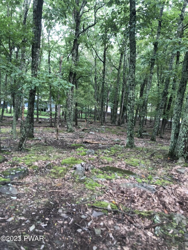 187 Deer trail photo 2