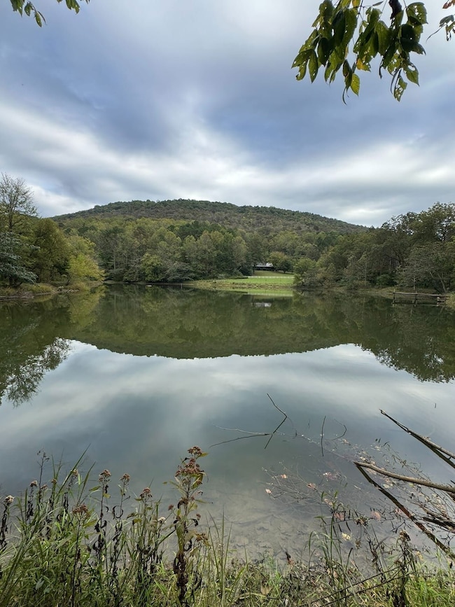 County Road 175, Estillfork, AL 35475 - photo 5