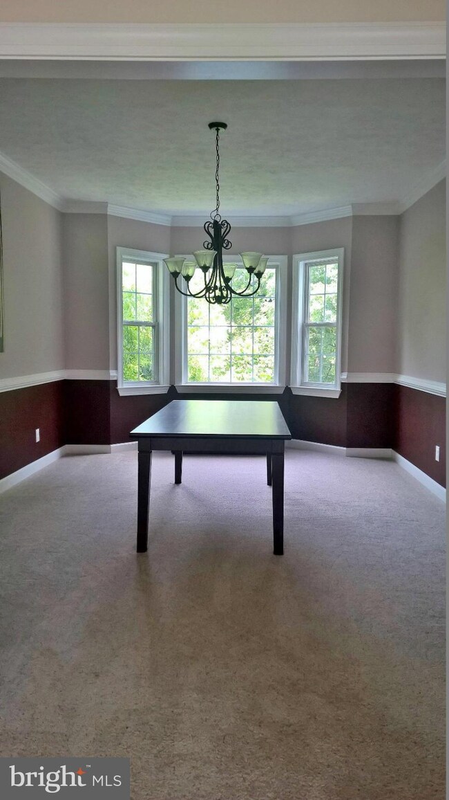 2157 Aquia Dr, Stafford, VA 22554 - photo 7