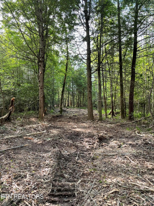 0 Scott Hwy, Winfield, TN 37892 - photo 6