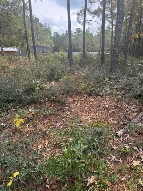 0 Basswood Ln, Plantersville, TX 77363 - photo 5