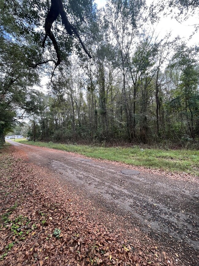 1069 Morgantown Rd, McComb, MS 39648 - photo 2