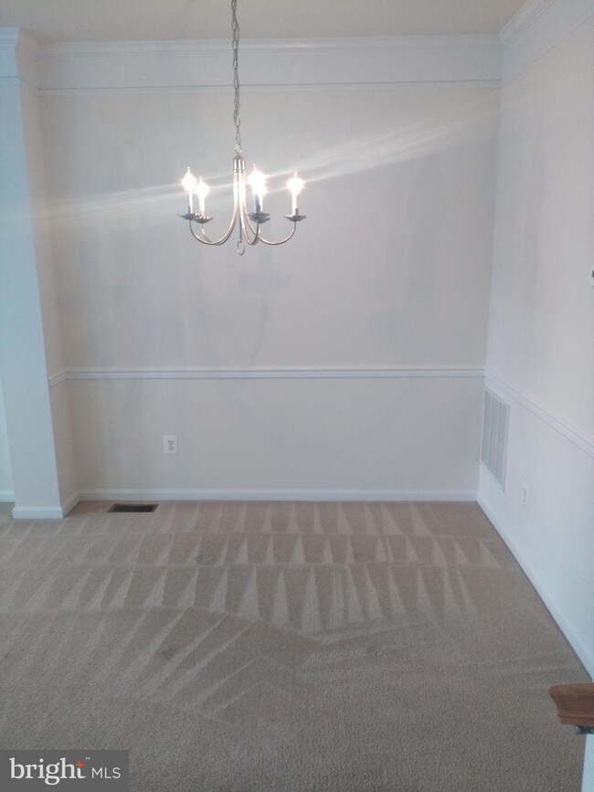 25111 Cypress Mill Terrace, Aldie, VA 20105 - photo 6