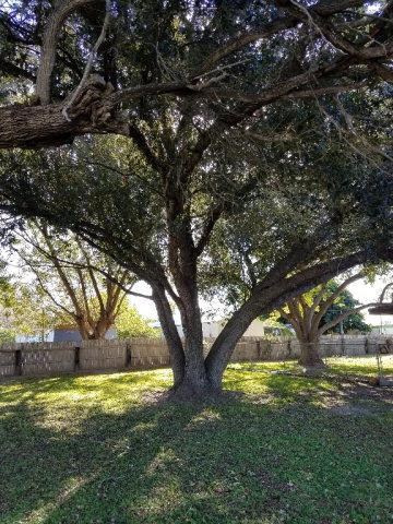 1624 W Canton Rd, Edinburg, TX 78539 - photo 2