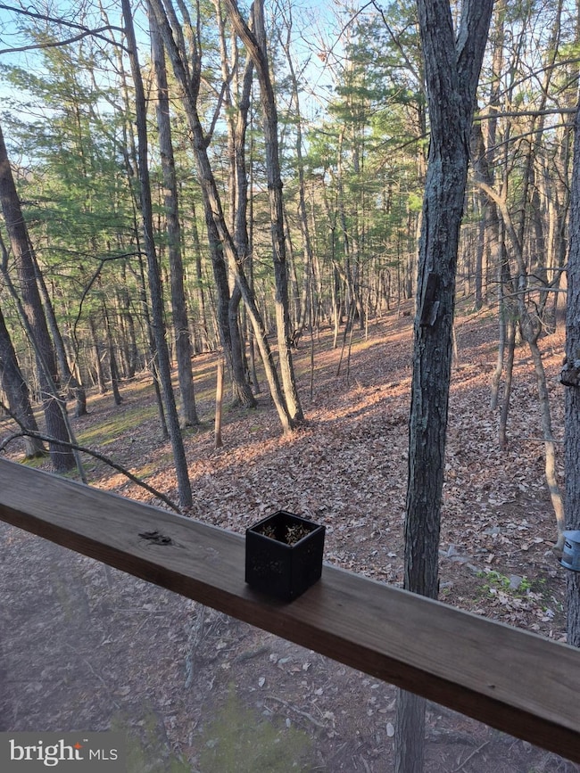 1220 Cedar Run Ln, Great Cacapon, WV 25422 - photo 5