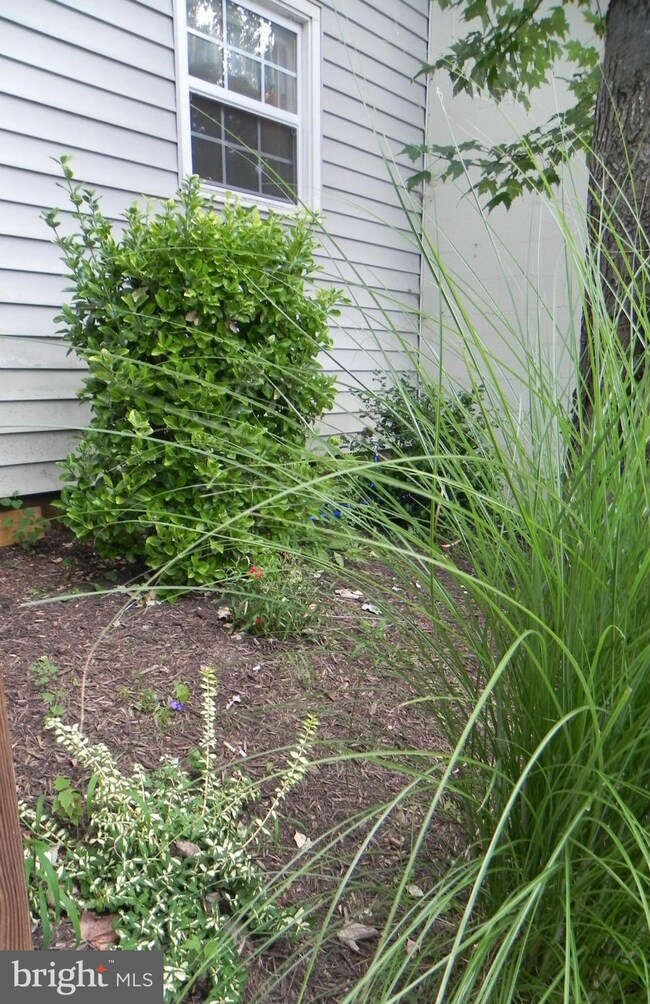 605 4th St, Culpeper, VA 22701 - photo 7