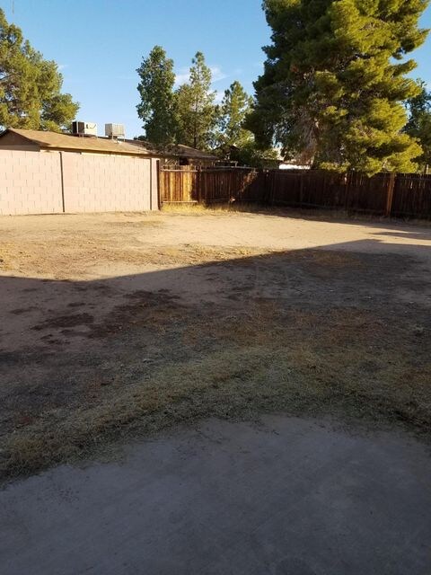 Lewis - Backyard 1