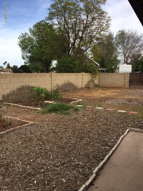 Backyard corner
