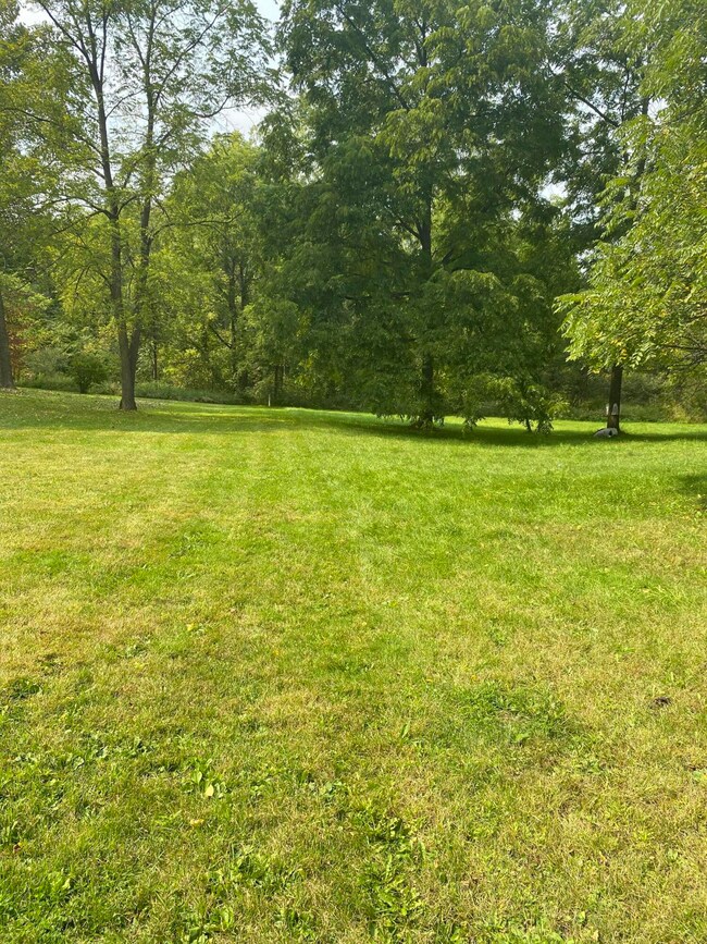 TBD N Mcpherson St, Stanton, MI 48888 - photo 3