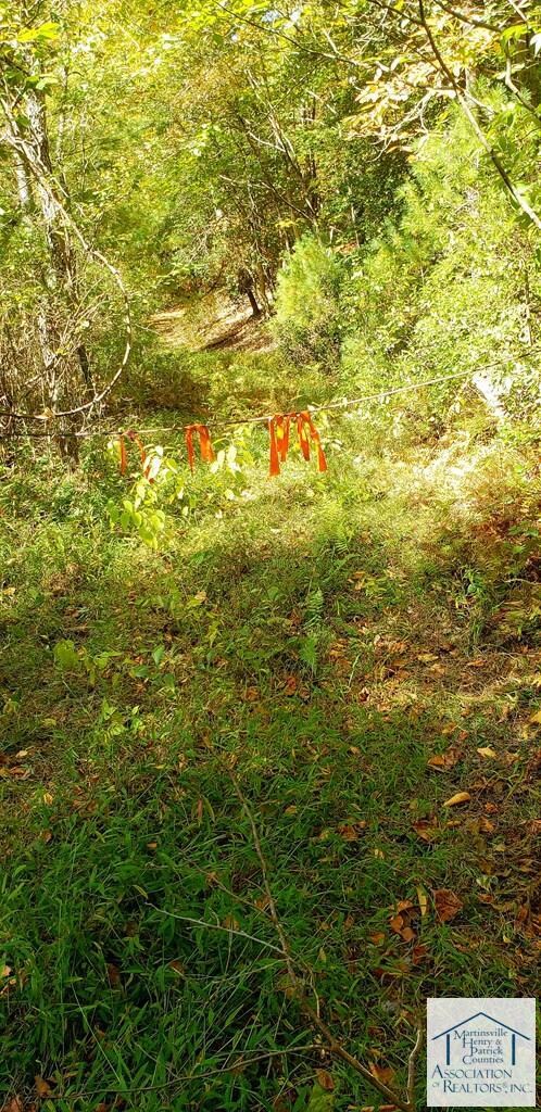 TBD Pole Bridge Rd, Stuart, VA 24171 - photo 2