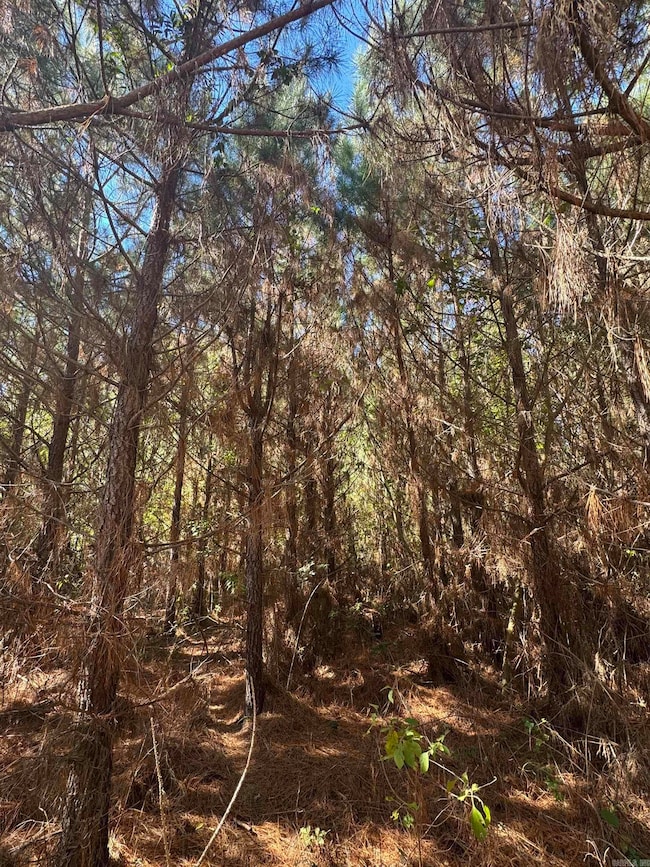 0 Nw1 4 Nw1 4 Section 28 Township 17s Range 18w unit 25048632, El Dorado, AR 71730 - photo 5