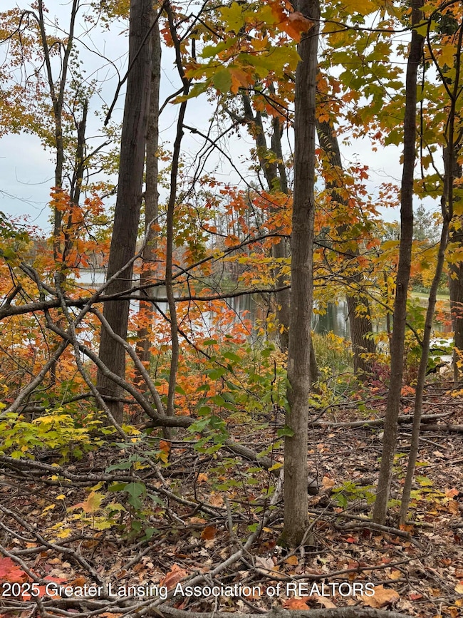 Lot 17 E Vail Ln, Gaylord, MI 49735 - photo 3