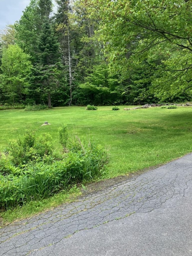 Side lawn