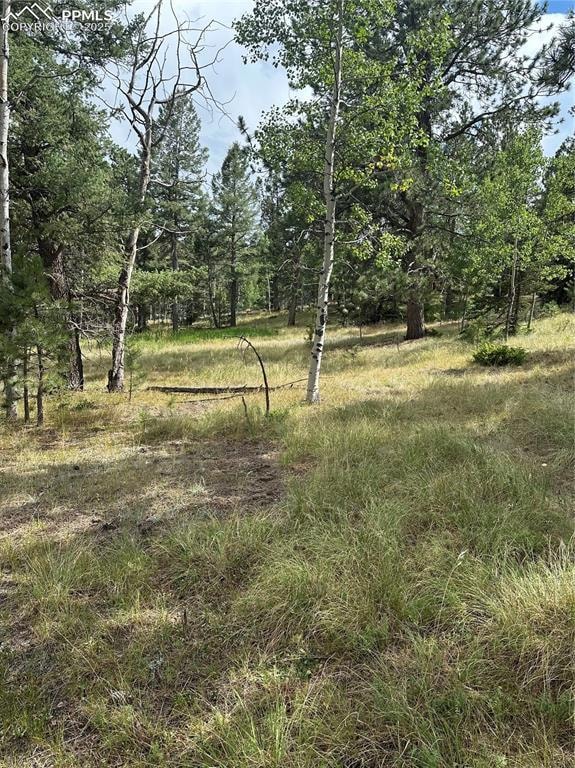 17 and 33 Deer Ridge Trail, Florissant, CO 80816 - photo 5