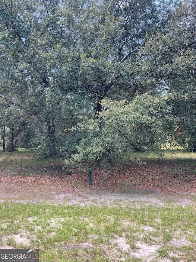 LOT 1A-13 Coopers Point Dr NE, Townsend, GA 31331 - photo 4