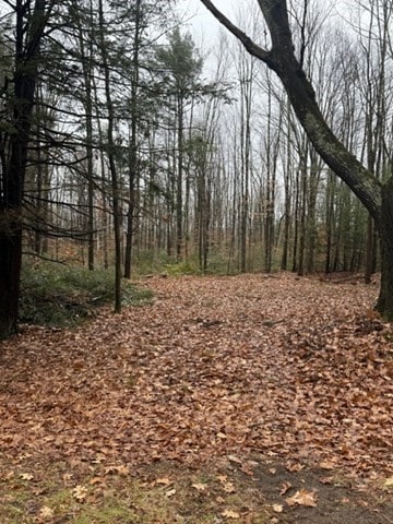 0 Wendell Depot Rd, Wendell, MA 01379 - photo 3