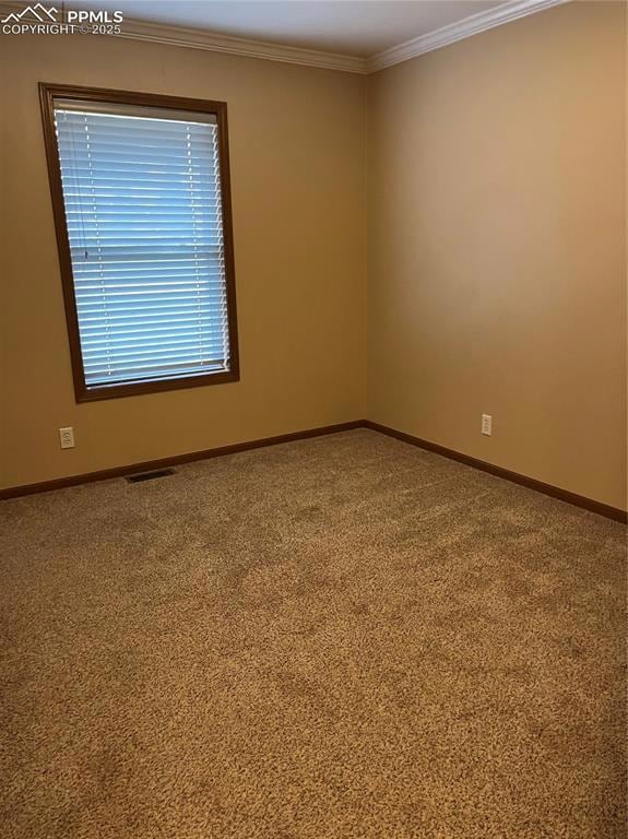 One of two 10 X 11 bedrooms