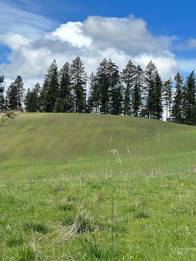 TBD Llama Ln, Kamiah, ID 83536 - photo 7