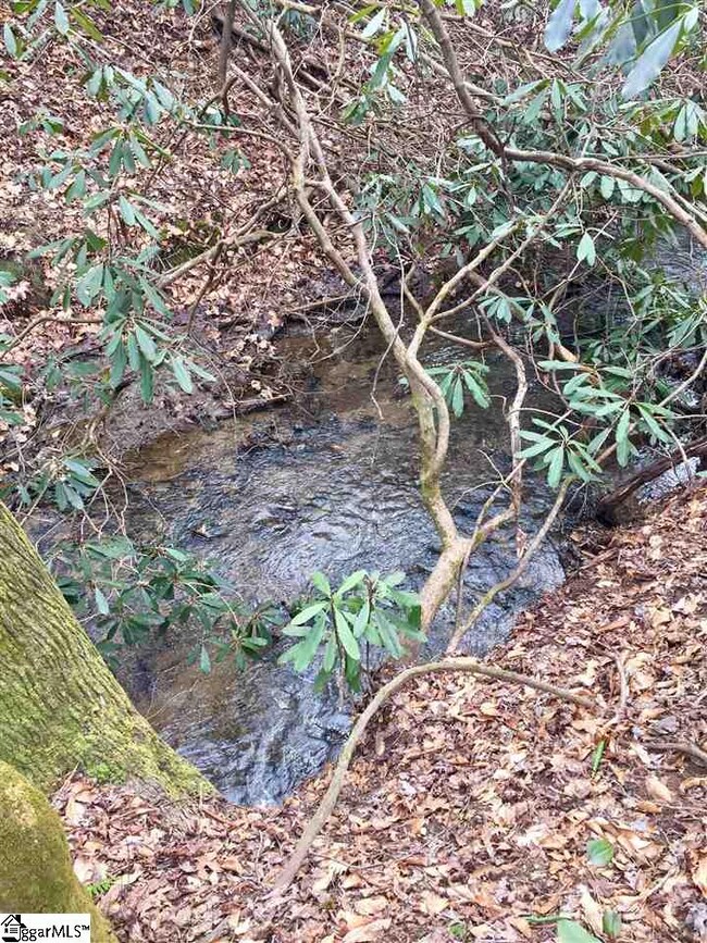 23 Laurel Cove Ln, Travelers Rest, SC 29690 - photo 5