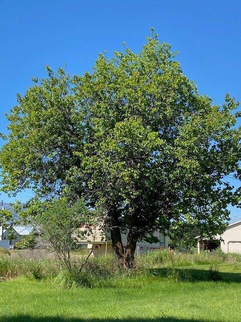 0 N Johnson St unit 220104109, Prairie City, OR 97869 - photo 6