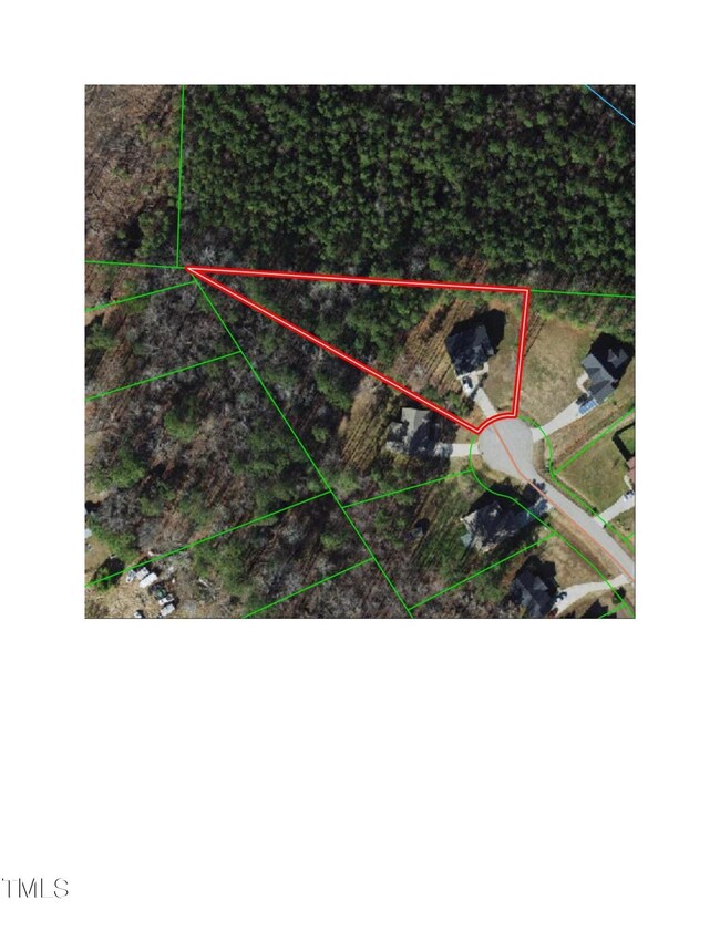 1Arial with Trees