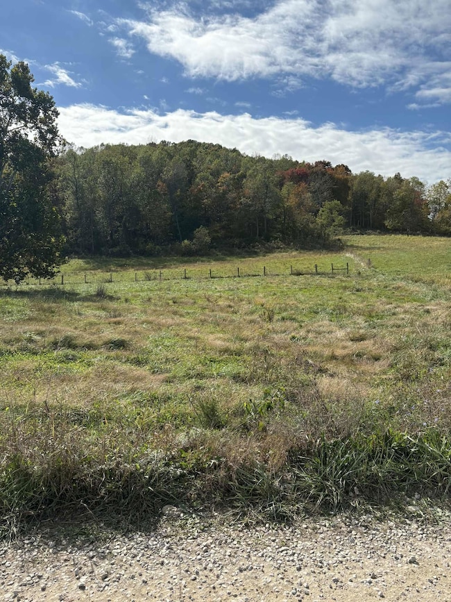Pine Grove Ch Rd, Vanceburg, KY 41179 - photo 3