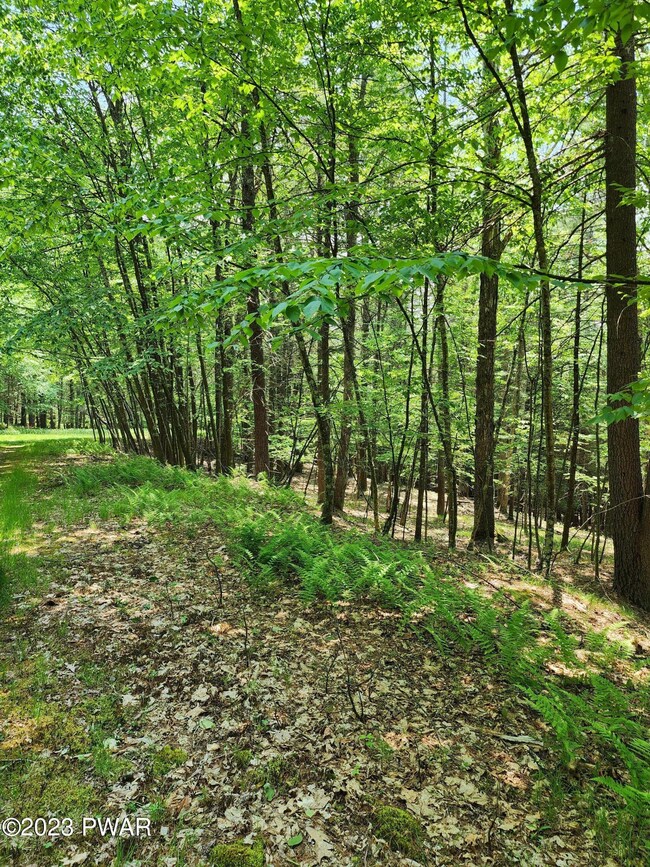 0 Lots 387 & 388 Creek Ct unit PWBPW231745, Hawley, PA 18428 - photo 4