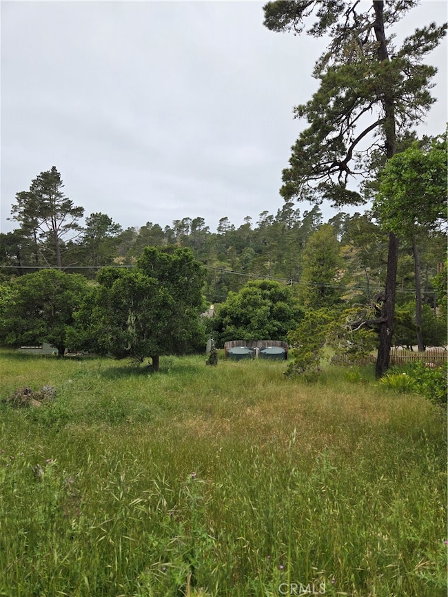 0 Pierce Ave unit NS25099504, Cambria, CA 93428 - photo 3