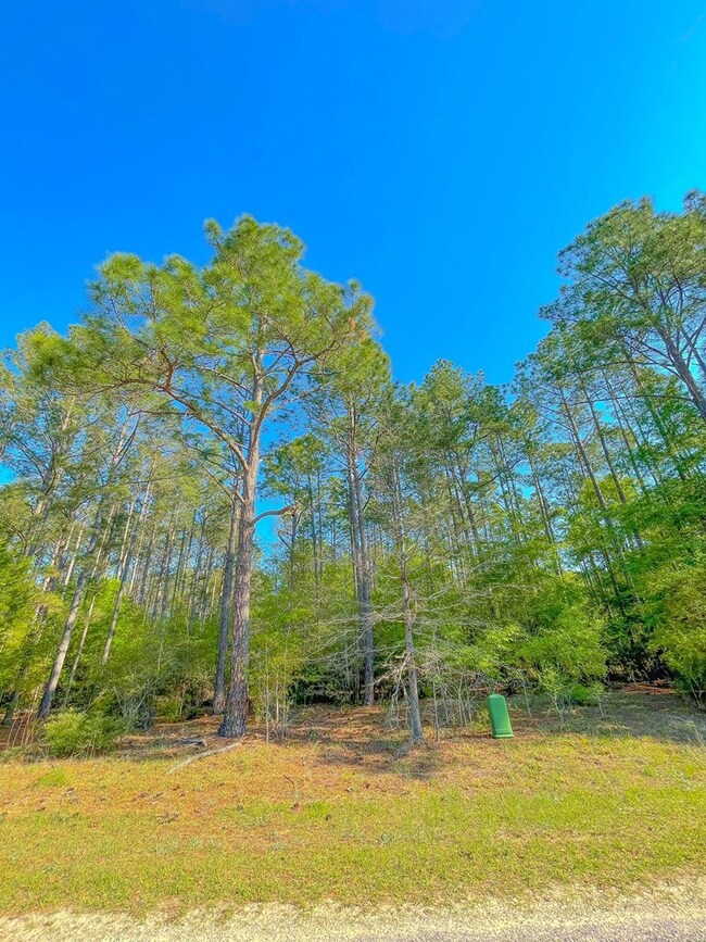 0 S Cedar Point Cir, Cordele, GA 31015 - photo 4