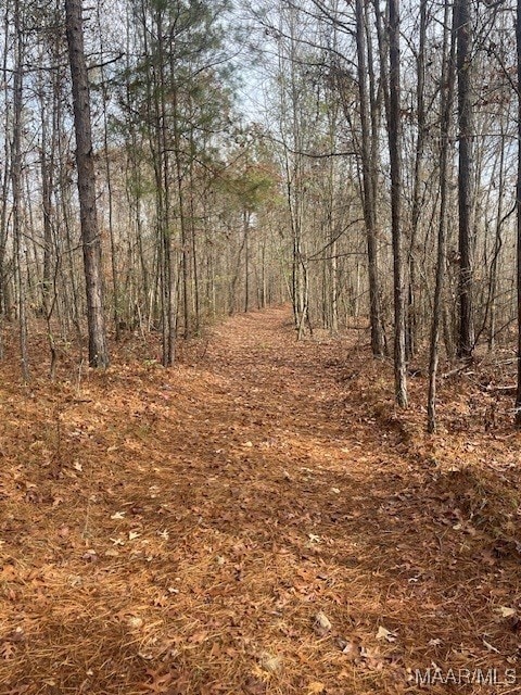 1300 Coosa County Road 71, Kellyton, AL 35089 - photo 6