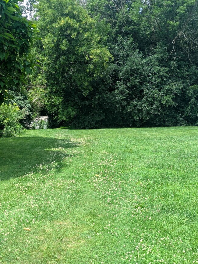 PXL_20250710_183306532