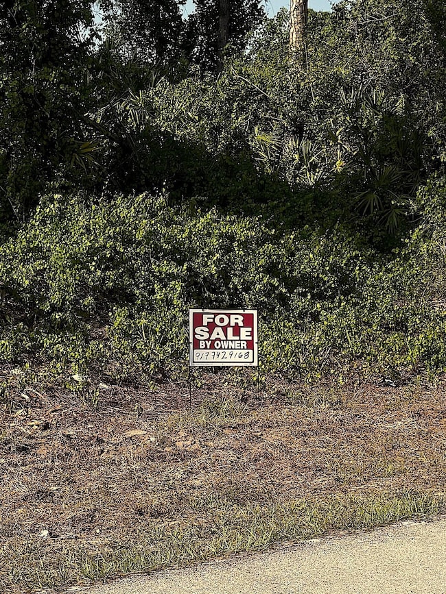 1049 Coleridge St, Lehigh Acres, FL 33974 - photo 2