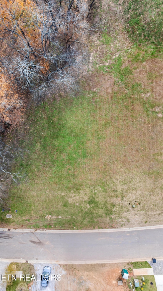 3964 Persimmon Ridge, Loudon, TN 37774 - photo 4