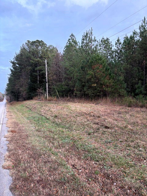 458 E Hwy 378, Edgefield, SC 29824 - photo 4