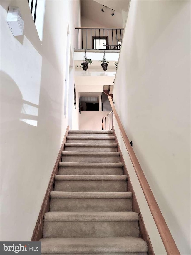 8 Rex Ave unit 11, Philadelphia, PA 19118 - photo 4