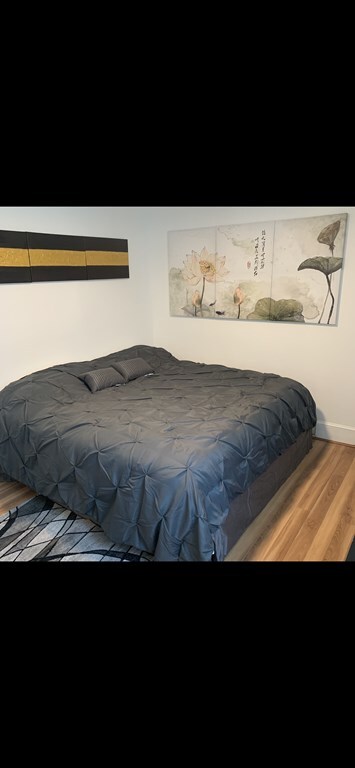 20 Langdon St, Roxbury, MA 02119 - photo 4