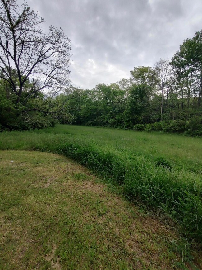 IMG_20250512_084417756_HDR