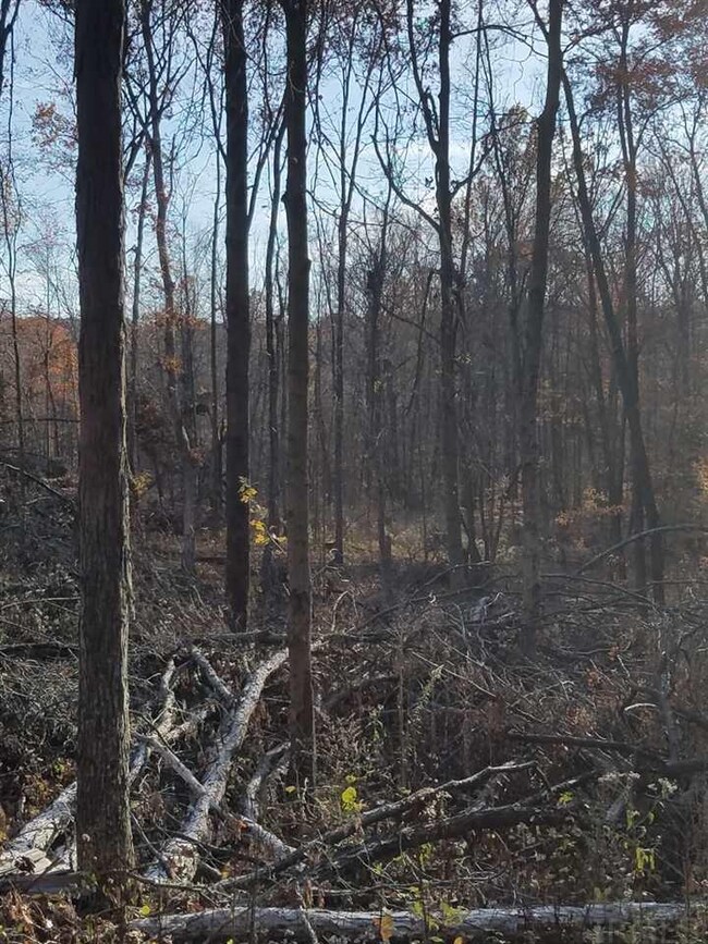 3553 E Coen Rd, Bloomfield, IN 47424 - photo 6