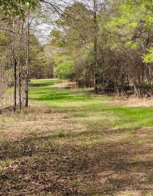 1799 Mitchell Creek Rd, Wetumpka, AL 36093 - photo 7